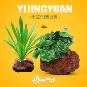 水草植物鱼缸造景套餐阴性水榕蜈蚣草水兰真草火山石懒人水草装 饰