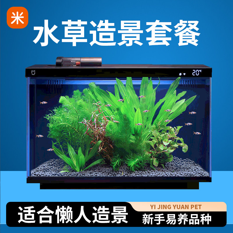 适配小米一代鱼缸水草植物造景套餐真鱼草活体懒人增氧蜈蚣草沉木
