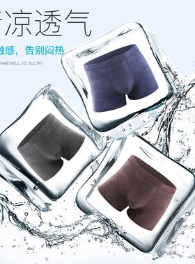 Underpants Boxer Brief Shorts For Men Plus Size Underwear