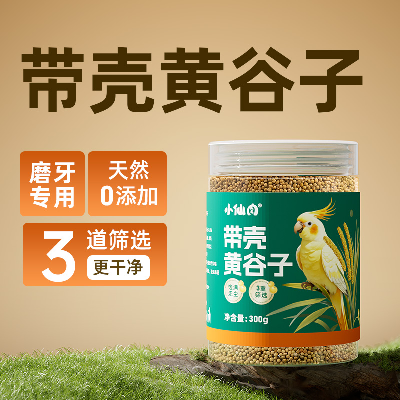 小仙肉大颗粒黄谷子鸟食鸟零食