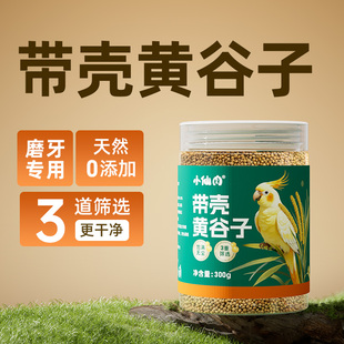 小仙肉鹦鹉带壳黄谷子玄凤牡丹虎皮鹦鹉鸟粮饲料新黄谷子带壳小米
