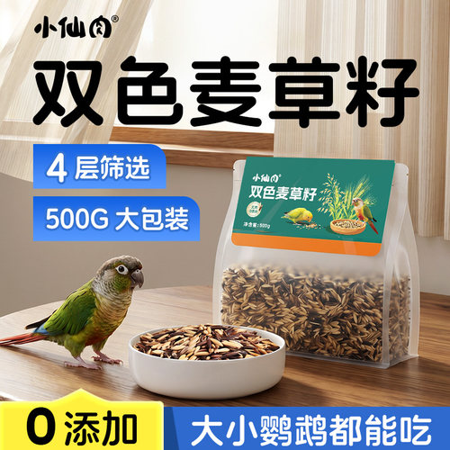 双色麦草籽鹦鹉零食500g大包装