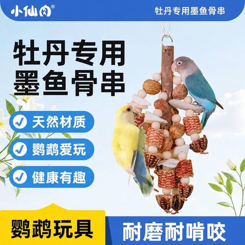 牡丹鹦鹉专用墨鱼骨天然材质