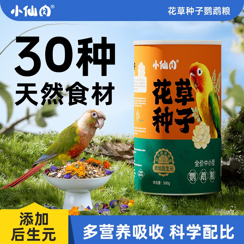小仙肉花草种子鹦鹉鸟粮饲料鸟食