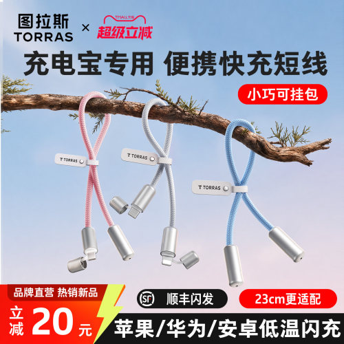 【充电宝专用】低温快充短线