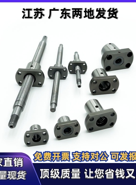 滚珠丝杆LCV02/LCV03-25-5 10 25 50-L200~L1500-F27~F45-P10~P15