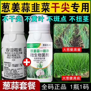 大葱专用药病治疗黄叶斑根腐灰霉杀菌韭葱蒜干尖灵尖枯正品烂根药