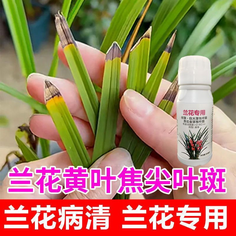 兰花专用药杀菌剂黑斑病叶斑病防治兰花根腐软腐病炭疽病杀菌药