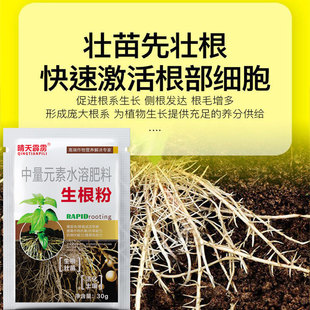 生根粉果树花卉树枝扦插种植水培生根粉促根壮根生根叶面肥生根剂