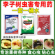 李子树食心虫套装 杀虫剂农药 食心虫卷叶虫蚜虫潜叶蛾桃树梨树正品