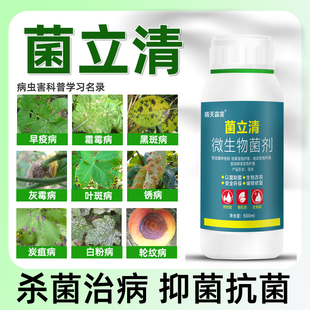 菌立清杀菌剂微生物专用黑斑黑杆病白粉病花卉防除炭疽病杀菌剂