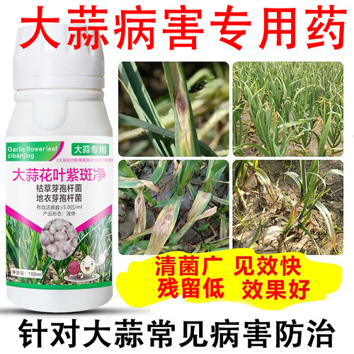 大蒜杀菌剂农用大蒜专用药干尖黄叶烂根烂叶紫斑锈病大蒜专用药