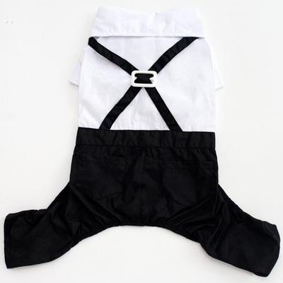 陪嫁小狗衣服结婚帅气狗狗婚礼专用小体犬泰迪博美宠物小礼服西装