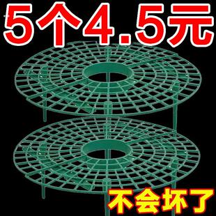 草莓支架草莓种植立体架托盘果实支撑架田园果实防烂绿植园林摆件