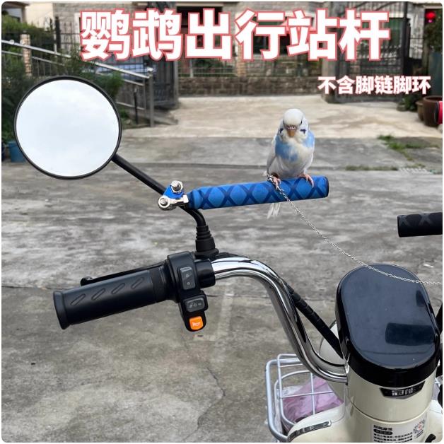 虎皮牡丹玄凤鹦鹉车用站架脚链外出电动车摩托车通用版遛鸟神器