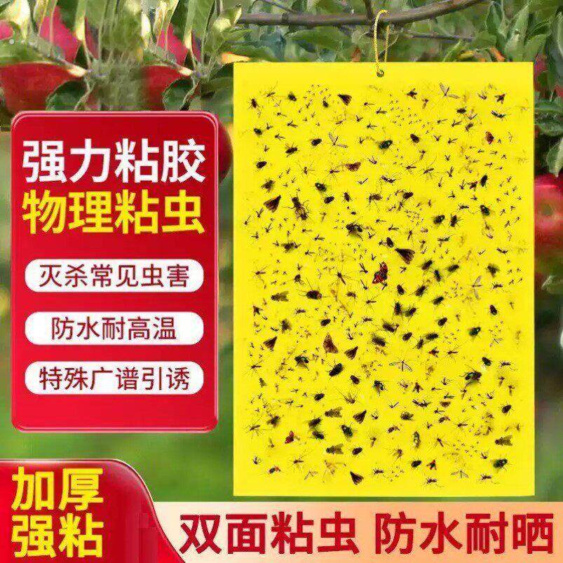 双面粘虫黄板诱虫板柑橘子树瓜果实蝇针蜂粘苍蝇贴粘虫板蓟粘虫板
