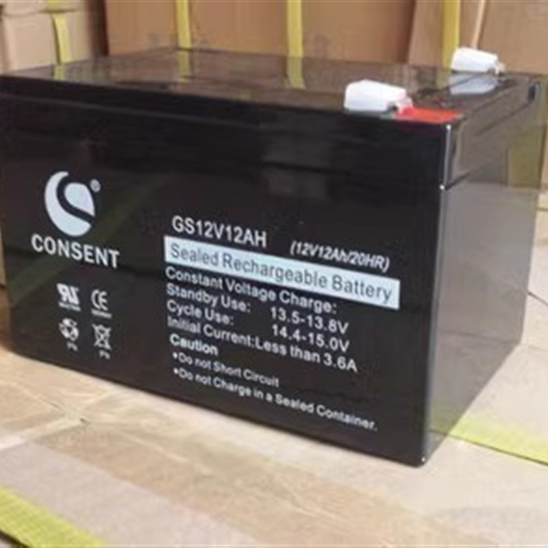 CONSENT光盛蓄电池GS12V17AH24AH38A65AH100AH电源铅酸UPS应急EPS - 实物图