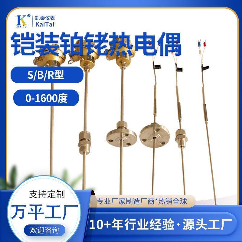 S型铠装铂铑热电偶WRPK-131 S型B型R型尺寸齐全耐高温0.5偶丝