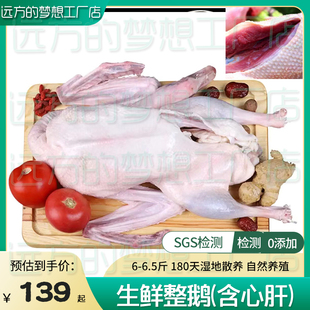 远方的梦想北鹅新鲜草原狮白鹅生鲜整只鹅180天嫩江湿地散养0兽残