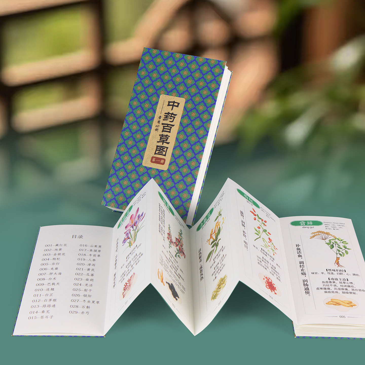 中草药图片册60种常用中医药材功效图解卡片养生滋补中药材样卡本