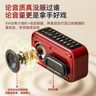 力勤 S 5严选蓝牙音响便携式插卡收音机大音量多功能录音迷你重低