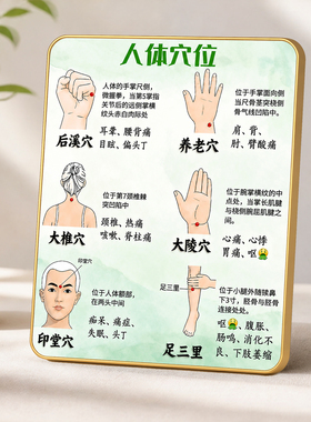 实用人体穴位知识科普摆台养生馆客厅玄关桌面家居装饰摆件