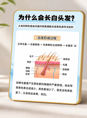 养发馆前台为什么长白头发科普装饰摆台门店桌面装饰摆件