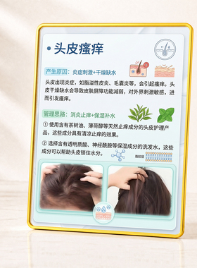 养发馆头皮瘙痒知识科普装饰摆件门店桌面轻奢金边展示摆台