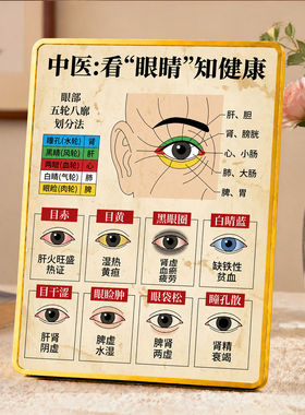 中医看眼睛知健康装饰摆件中医馆养生馆桌面知识提示摆台