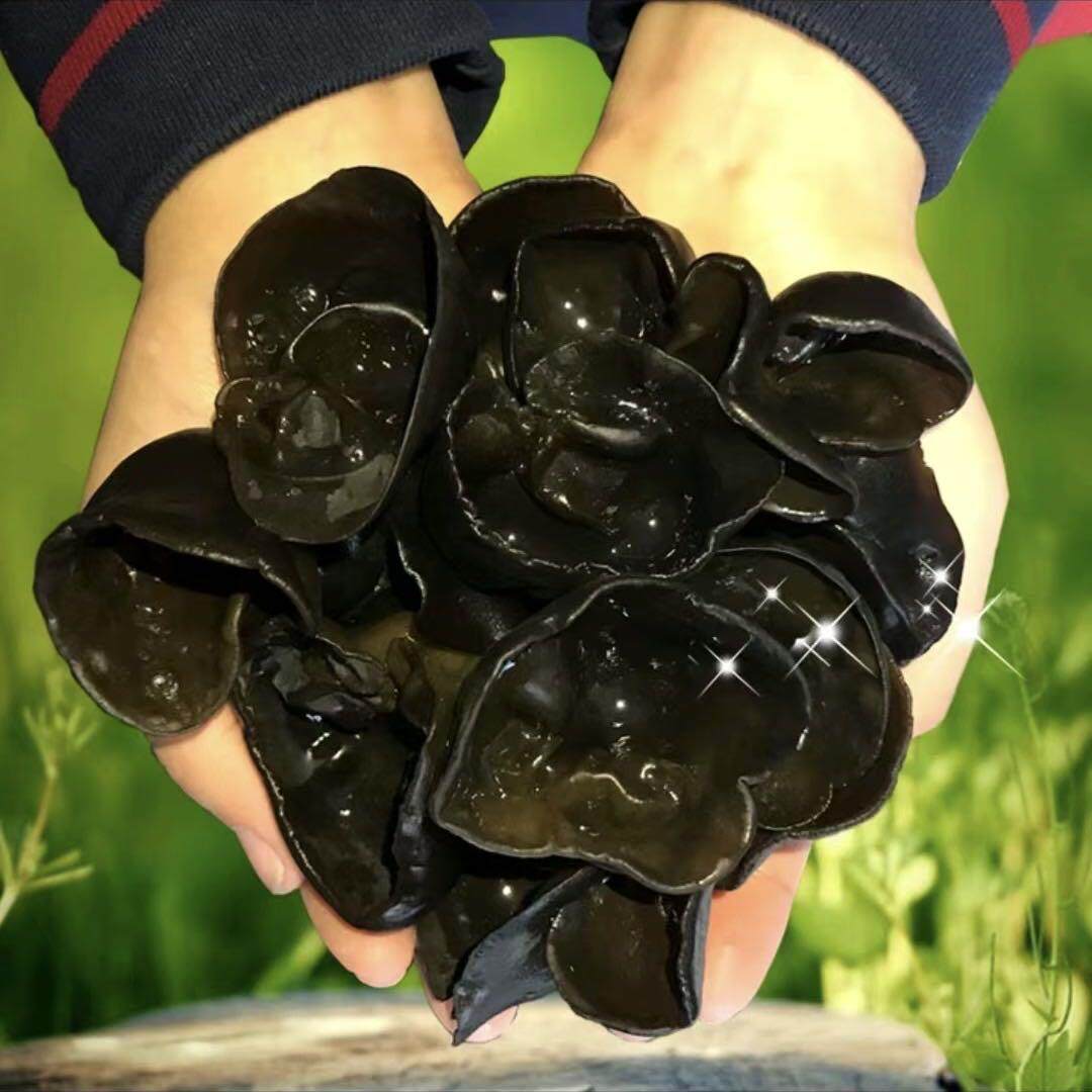 东北黑木耳干货特级小碗耳包邮长白山特产肉厚无根批发野生秋木耳