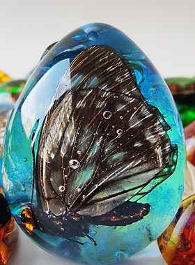 昆虫琥珀吊坠树脂密封天然昆虫