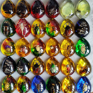 天然琥珀蝎子昆虫标本虫珀项链带虫子吊坠挂件纯手工制作儿童科普