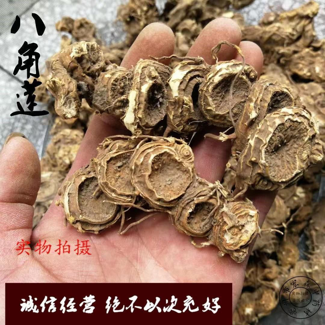 中药材 八角金盘 八金盘 八手 手树 金刚纂500克新货