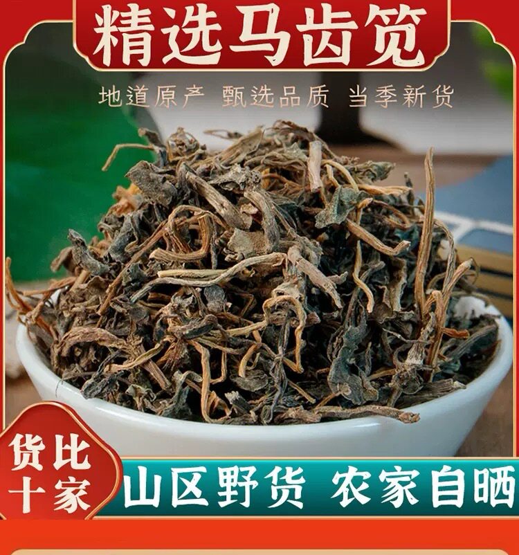 野生马齿苋中药材500g新鲜晒干马齿笕干菜可食用五行草泡茶泡澡