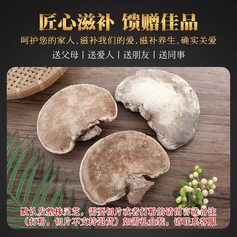 灵芝野生白灵芝正品云南正宗纯天然干货整枝一斤装灵芝切片中药材