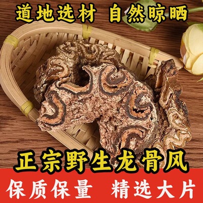广西龙骨风500g大贯众飞天擒罗飞天蠄蟧泡酒料煲汤料中 药材特级