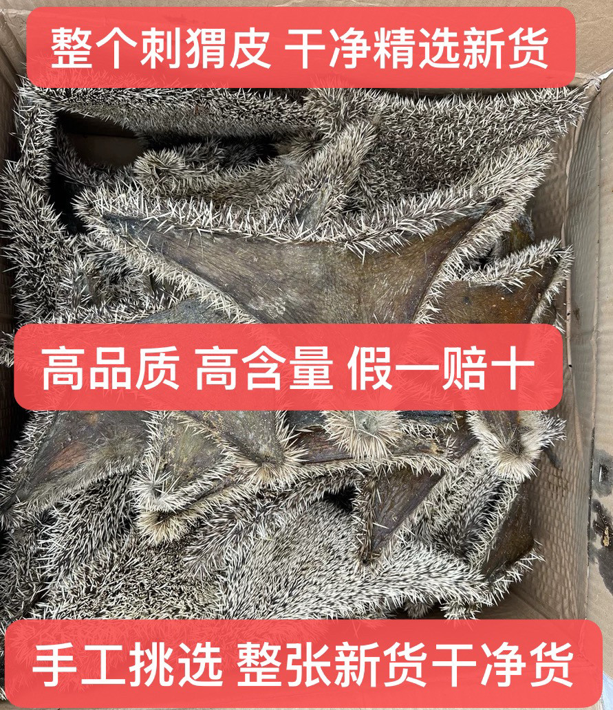 刺猬皮 猥皮 仙人衣 晒干纯正无硫 整张中药材 刺鼠皮干货 新货