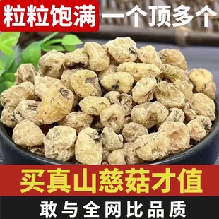 山慈菇500克包邮正品云南新鲜干货毛慈菇茅慈菇非仁堂冰球子