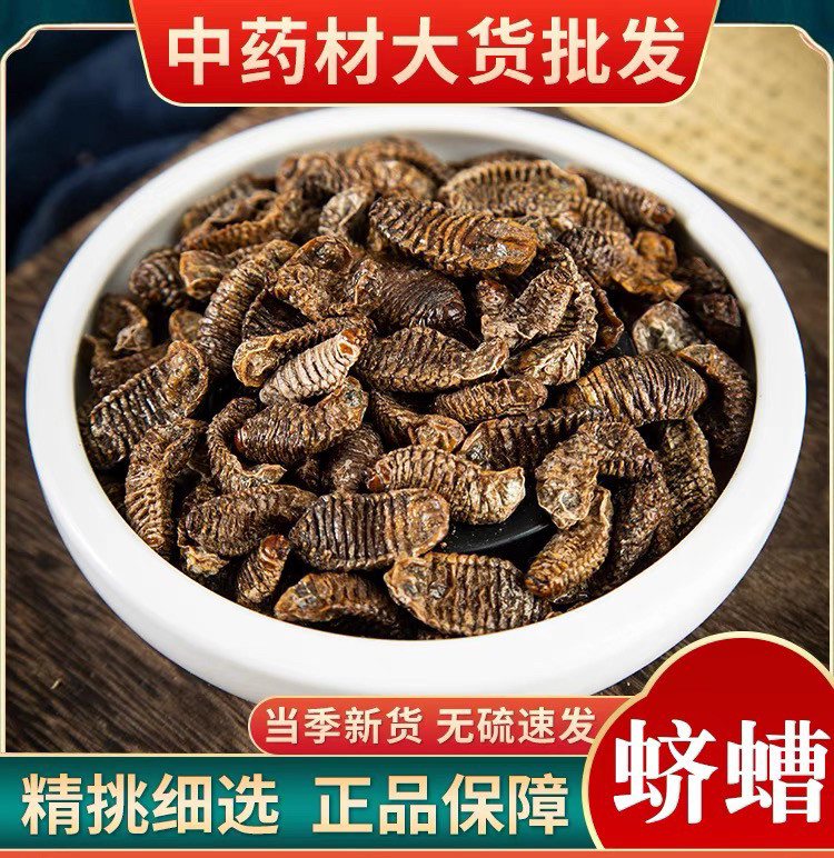 中药材蛴螬 土蚕 老母虫 核桃虫 无硫蛴螬虫 可磨蛴螬粉500克包邮