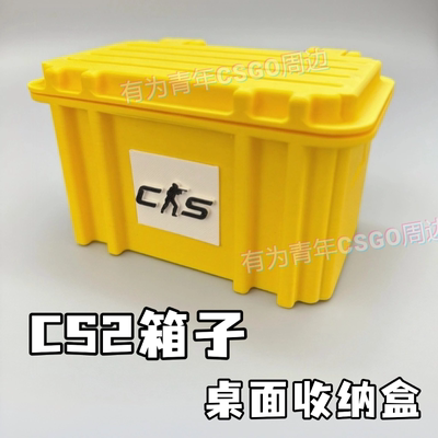 cs2箱子桌面储物收纳盒子