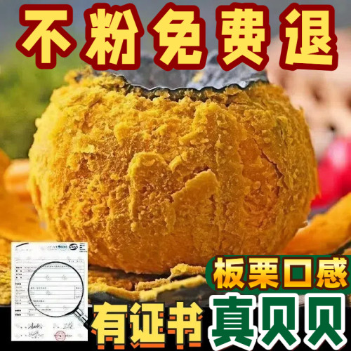 山东贝贝南瓜婴儿辅食粉糯香甜