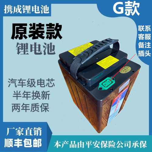 48v铅酸改锂电新国标电动车锂电池25ah全新提手电瓶G款汽车级动力