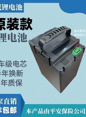 48v铅酸改锂电新国标电动车锂电池25ah全新提手电瓶G款汽车级动力