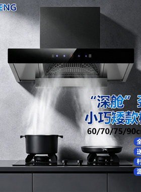 BIZHENG全尺寸大吸力顶吸油烟机