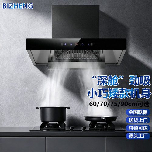 BIZHENG全尺寸大吸力顶吸油烟机