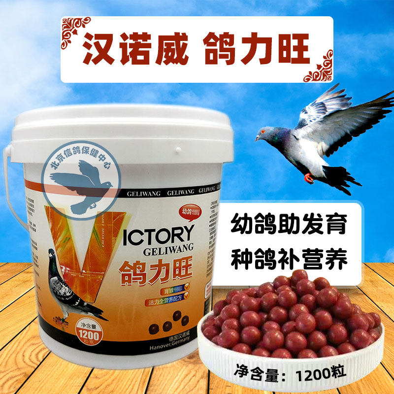 汉诺威鸽力旺丸剂信鸽鸟育雏宝幼鸽生长丸营养丸鸽子用大全常见病,宠物/宠物食品及用品,鸟禽保健品,淘宝优惠券,粉丝福利购,淘宝优惠卷