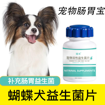 蝴蝶犬益生菌宠物肠胃消化