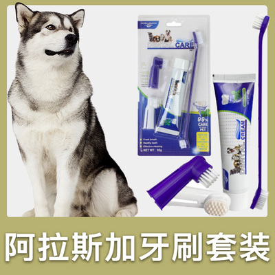 阿拉斯加牙刷套装小狗狗宠物牙膏