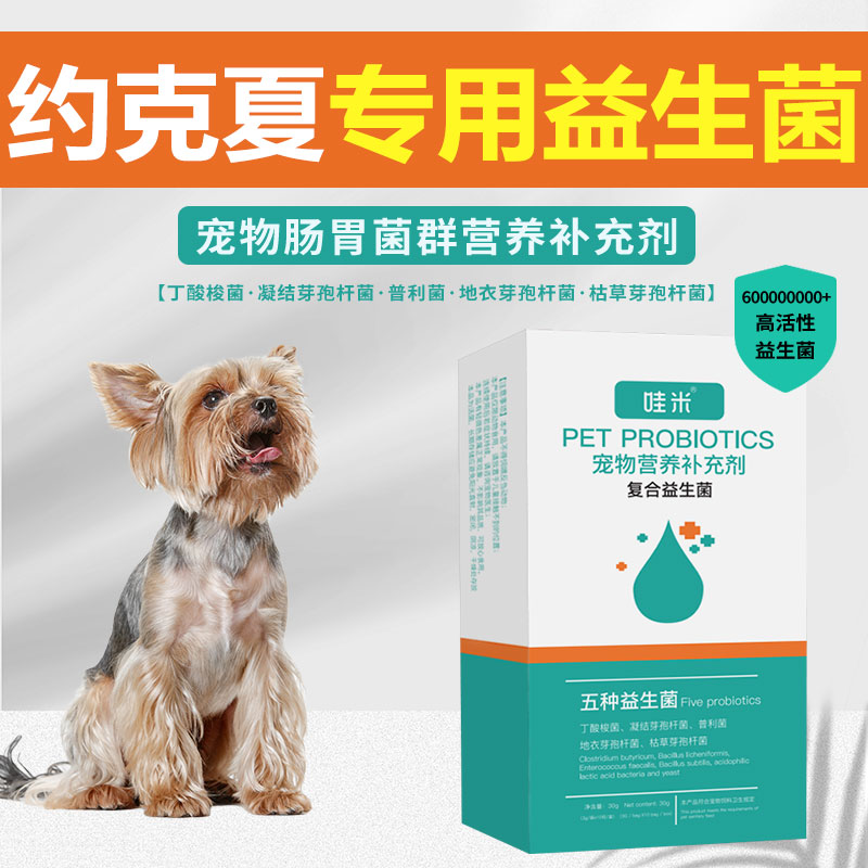 约克夏专用益生菌粉宠物犬用狗狗