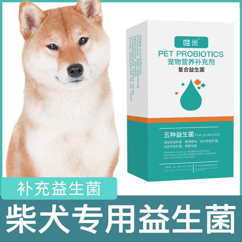 柴犬专用益生菌粉宠物犬用图片